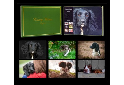 Country Matters Spaniels Placemats (33cm x 23cm / 13" x 9") x 6